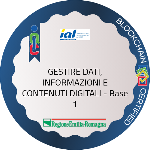 Badge pubblico 82570